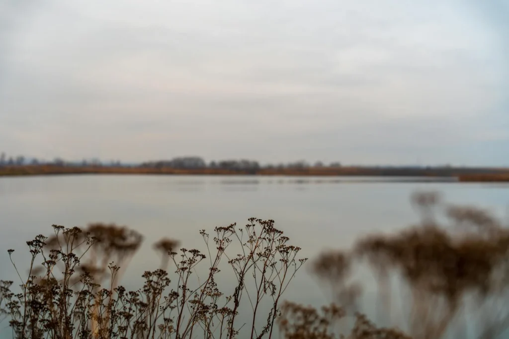 Menjaga Kebugaran Fisik: Latihan Dan Pola Hidup Sehat